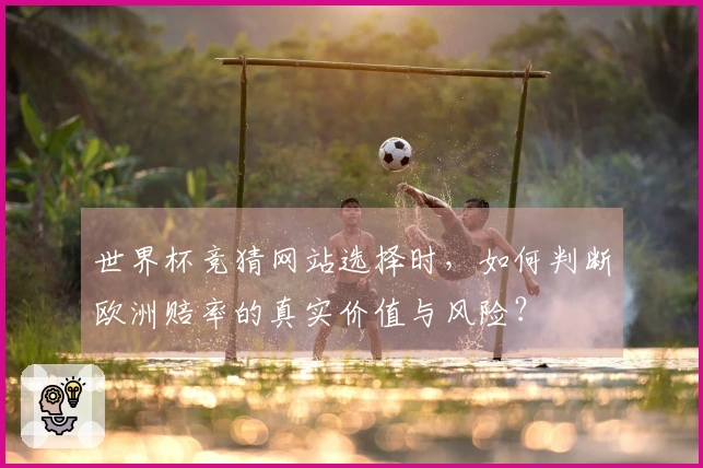 世界杯竞猜网站选择时，如何判断欧洲赔率的真实价值与风险？