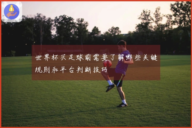 世界杯买足球前需要了解哪些关键规则和平台判断技巧